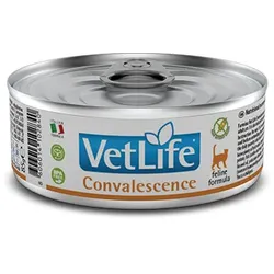Farmina Vet Life Convalescence Cat 85g
