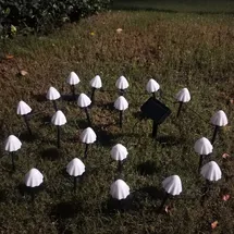 FHS International FHS 35697 LED Solar Lichterkette Pilze 3,8m 20 LED warmweiß Gartenstecker Lichtsensor - Weiß