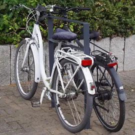 Trutzholm Fahrradständer 2 x Fahrradanlehnbügel 114 x 77 cm Flachstahl 13 mm Anthrazit