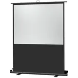 Celexon Ultramobil Plus Professional