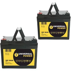 Ersatzakku für Zipr PC Power 24V 2 x 12V 36Ah