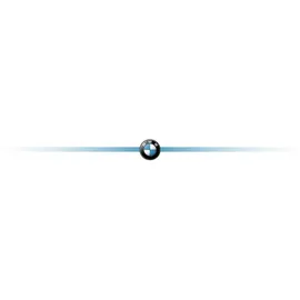 BMW Carbon Double Metal Logo Case AirPods 4 - Schwarz