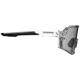 Leatt RideViz Pro 17% Iriz Silver/Transparent