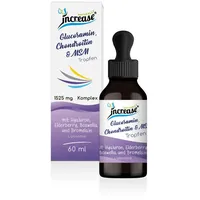 Increase Liposomale Glucosamin, Chondroitin & MSM Tropfen 60 ml
