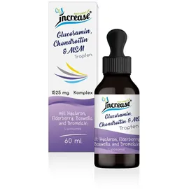 Increase Liposomale Glucosamin, Chondroitin & MSM Tropfen 60 ml