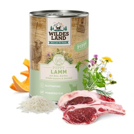 Wildes Land | Lamm Kürbis Reis, Welpe 400 g