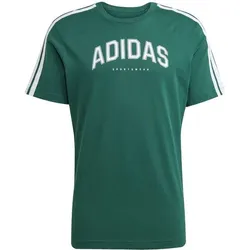 ADIDAS Herren Shirt Codes Collegiate Linear, CGREEN, L