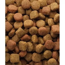 Versele-Laga Classic Duo Krok 20 kg