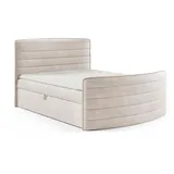 Fun Möbel Boxbett, Creme