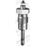 BERU (BERU) Glühkerze