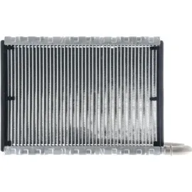 mahle AE 169 000P