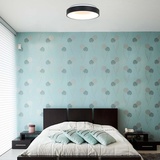 Steinhauer Deckenlampe Deckenleuchte Schlafzimmerlampe Flurleuchte LED dimmbar schwarz weiß