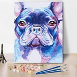 Hund Malen nach Zahlen Erwachsene Anfänger Malen nach Zahlen Französische Bulldogge Malen nach Zahlen Kits DIY 16x20 Zoll Tier Porträt Malerei Einfaches Malen nach Zahlen Kunstwerk