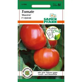 Samen Pfann Tomate, Maestria F1-Hybride - Tomatensamen von SAMEN Pfann