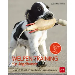 Welpen-Training für Jagdhunde – Das 24 Wochen-Ausbildungsprogramm