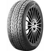 Roadstone N Priz 4S 225/50R17 98V XL