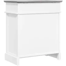 vidaXL Schuhschrank 50 x 28 x 58 cm grau / grau