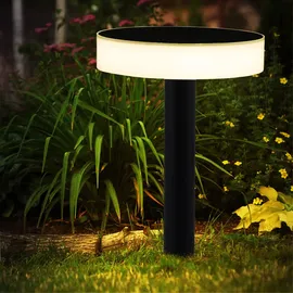 GLOBO Wegleuchte Garten außen Außenleuchte Stecklampe Erdspieß Akku, schwarz opal, 1x LED Solarleuchte Kunststoff,