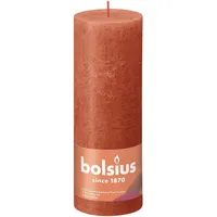 Bolsius Rustik Stumpenkerze 19 x 6.8 cm herbstliches orange
