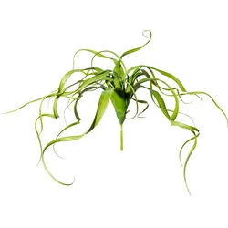 Kunstranke CREATIV GREEN "Tillandsien-Hänger", grün, H:30cm Ø:35cm, Kunststoff, Kunstpflanzen