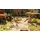 LEGO Horizon Adventures (USK) (PS5)