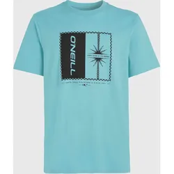 O'Neill MIX & Match Palm T-shirt ripling shores (15057) L