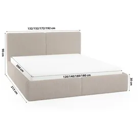 FEDVE Polsterbett Doppelbett Riberia Slim Bett mit Bettkasten 160x200 - Braun