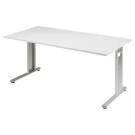 Geramöbel Schreibtisch Flex S-617103 lichtgrau/silber