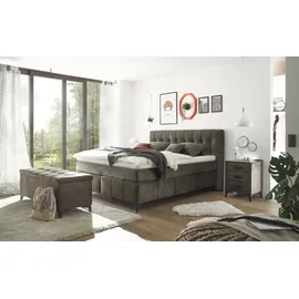 ed exciting design Bettbank Oregon Braun 140 x 58 x 50 cm