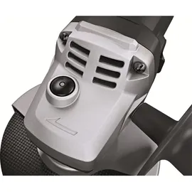 Flex L 13-10 125-EC + FixTec Mutter