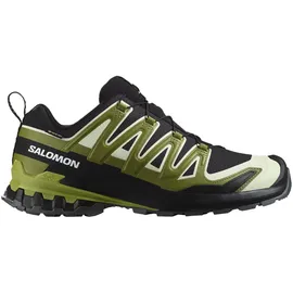 Salomon XA Pro 3D V9 GTX Herren Trailrunningschuhe, Shoes, Black, 42