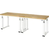 Rau Werkbank elektrisch höhenverstellbar, B2500xT700xH740-1140mm, B-Platte-40 mm
