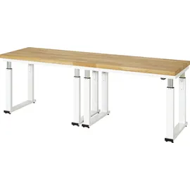 Rau Werkbank elektrisch höhenverstellbar, B2500xT700xH740-1140mm, B-Platte-40 mm