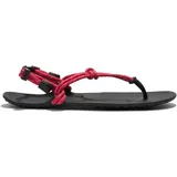 Xero Shoes Genesis Damen Raspaberry 39,5