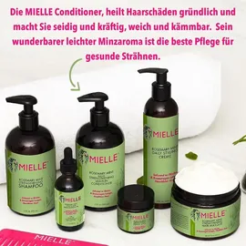 Mielle Haarspülung Haar Conditioner Rosmarin Haarpflege Haarwachstum 1x355 ml