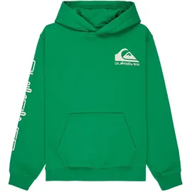 QUIKSILVER Omni Logo Green 16