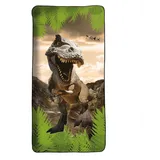 ROTH Tyrannosaurus Badetuch 60 x 120 cm grün