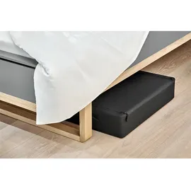 Reisenthel Aufbewahrungsbox storagebox low 60 x 45 x 13 cm 1-tlg. schwarz