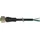 Murrelektronik M12 Buchse gerade 7000-12241-6350500