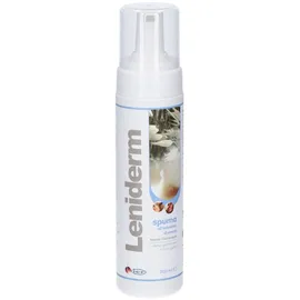 Leniderm Schaum 200 ml
