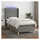 vidaXL Boxspringbett 100 x 200 cm Dunkelgrau