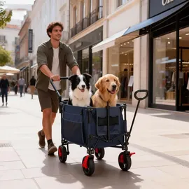 Relaxdays Bollerwagen faltbar grau
