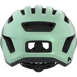 Alpina Paranus 55-59 cm grün matt 2025