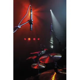 DAP AUDIO DAP CM-45 Overhead-Kondensatormikrofon