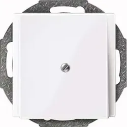 Merten Zentralplatte aws/gl Leitungsauslass 296325
