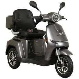 aktiv mobil Elektromobil E-Rider 1000 mit Topcase grau