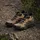 adidas Terrex Anylander Mid RAIN.RDY Herren Cardboard/Core Black/Shadow Olive 43 1/3