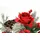 I.GE.A. Kunstblumenstrauß I.GE.A. "Bouquet Rosen/Hortensien", rot, B:27cm H:53cm L:27cm, Polyester, Kunstpflanzen, Tannenzweige Lotus Weihnachtsdeko Weihnachtsblume Sträuße Dekoblumen