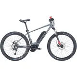 BULL'S LT CX 29 2024 29 Zoll RH 60 cm grau