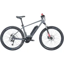 BULL'S LT CX 29 2024 29 Zoll RH 60 cm grau